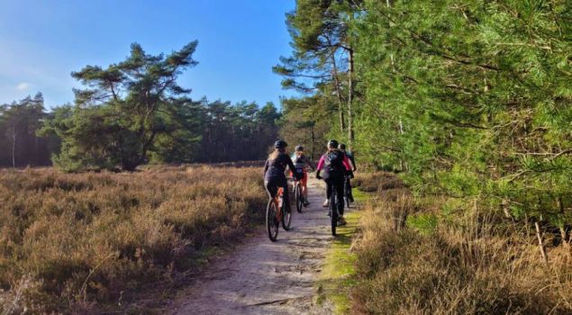 Mountainbike avontuur op de Utrechtse Heuvelrug