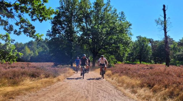 Mountainbike avontuur op de Utrechtse Heuvelrug