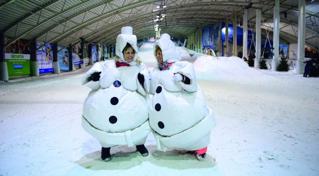 Snowgames & Avalanche Rescue Game