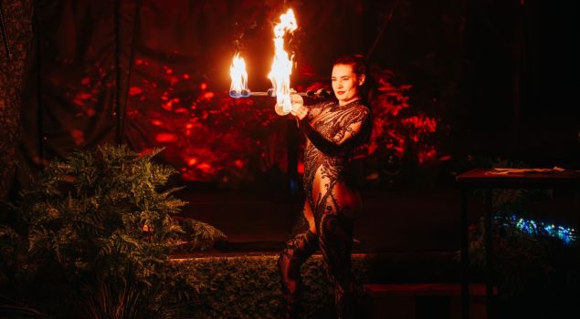 Woud Van Licht - Indoor Winter Bedrijfsevent