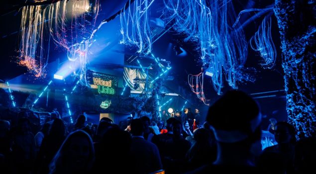 Woud Van Licht - Indoor Winter Bedrijfsevent