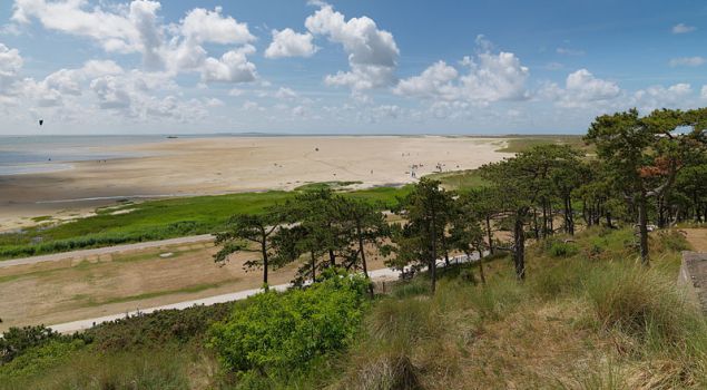 Bedrijfsuitje weekend op Terschelling