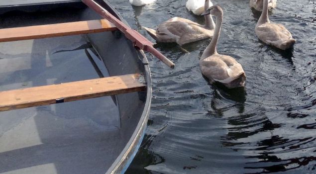 Keuzeprogramma 'het water op', voor ieder wat wils