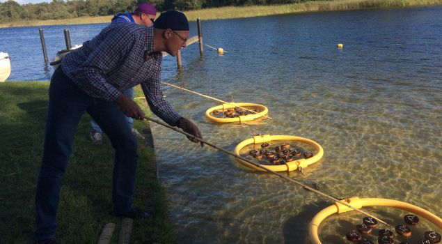 Expeditie Robinson met sloepjes, BBQ en drankjes