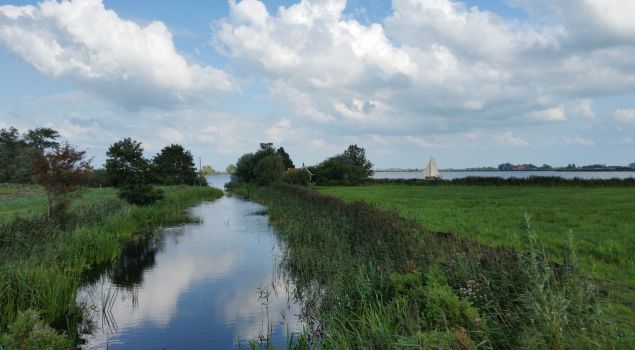 Teambuilding tijdens zeilen op het Markermeer