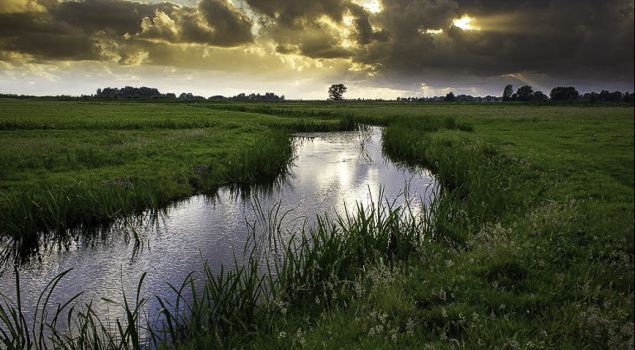 Teamuitje Zeilen in Friesland