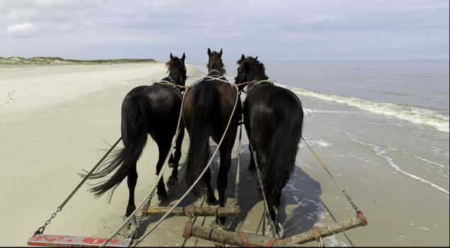 Heerlijk bedrijfsuitje Terschelling