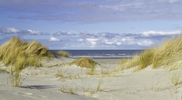 Heerlijk bedrijfsuitje Terschelling