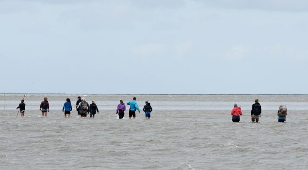 Bedrijfsuitje Schiermonnikoog