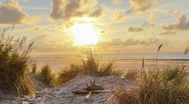 Bedrijfsuitje Wadlopen