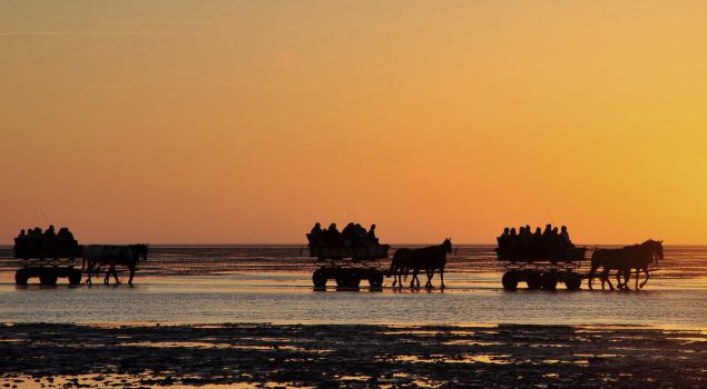 Onvergetelijke ervaring op Ameland