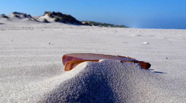 Onvergetelijke ervaring op Ameland