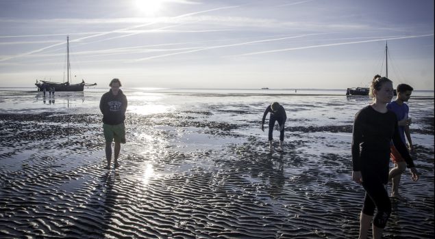 Bedrijfsuitje Wadlopen
