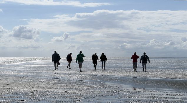 Bedrijfsuitje Wadlopen