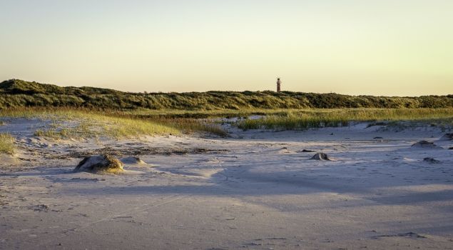 Bedrijfsuitje Wadlopen