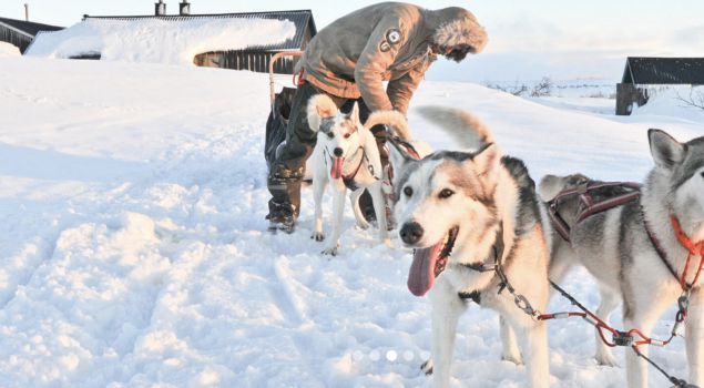 Dit is de Ultieme Wintersport beleving in Zweden