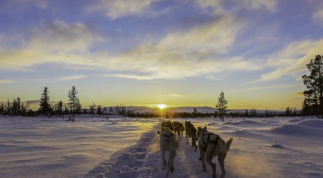 Magische Wintersport Incentive Lapland