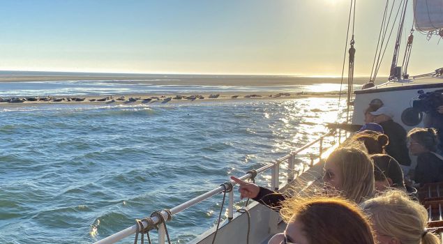 Bijzondere eilandervaring op Terschelling