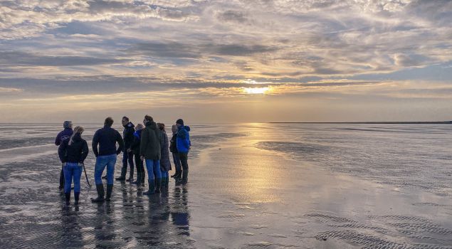 Bijzondere eilandervaring op Terschelling