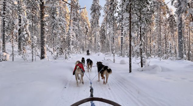 Beleef de ultieme winterervaring in Zweden