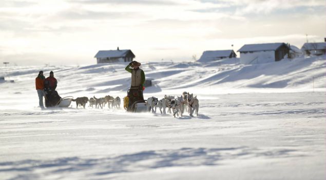 Dit is de Ultieme Wintersport beleving in Zweden