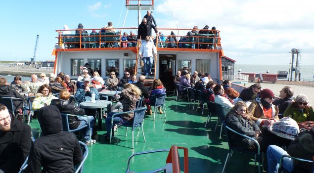 Zeehondentocht, Beachgames, Fietsen en BBQ