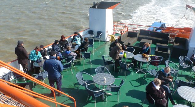 Zeehondentocht, Beachgames, Fietsen en BBQ