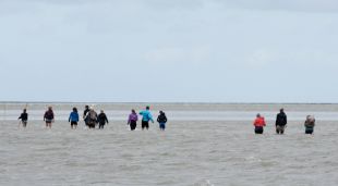 Een onvergetelijk teamuitje op Schiermonnikoog