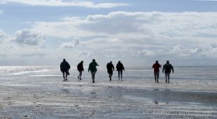 Bedrijfsuitje Wadlopen